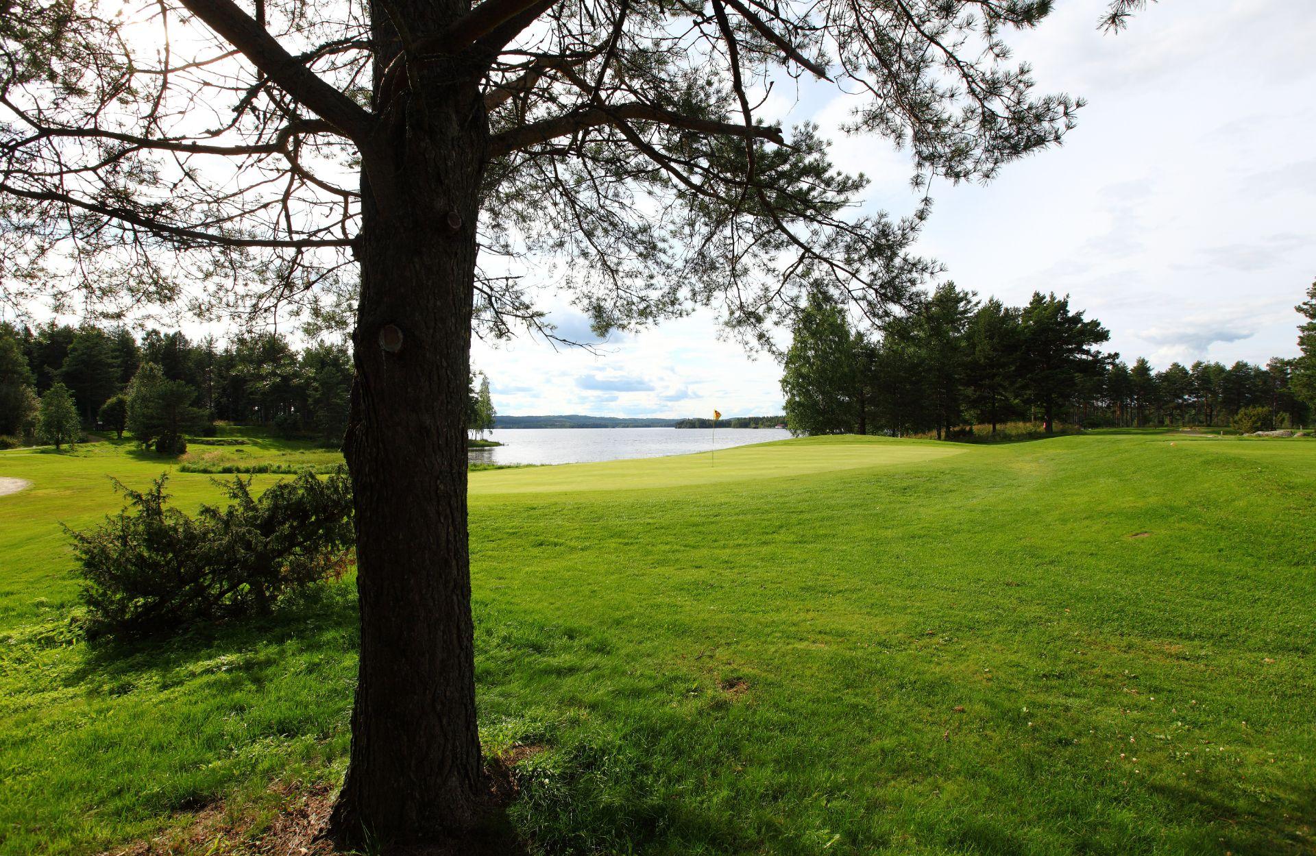 Pielis-Golf 4. kuva – Golfpiste Kenttäopas – Suomi