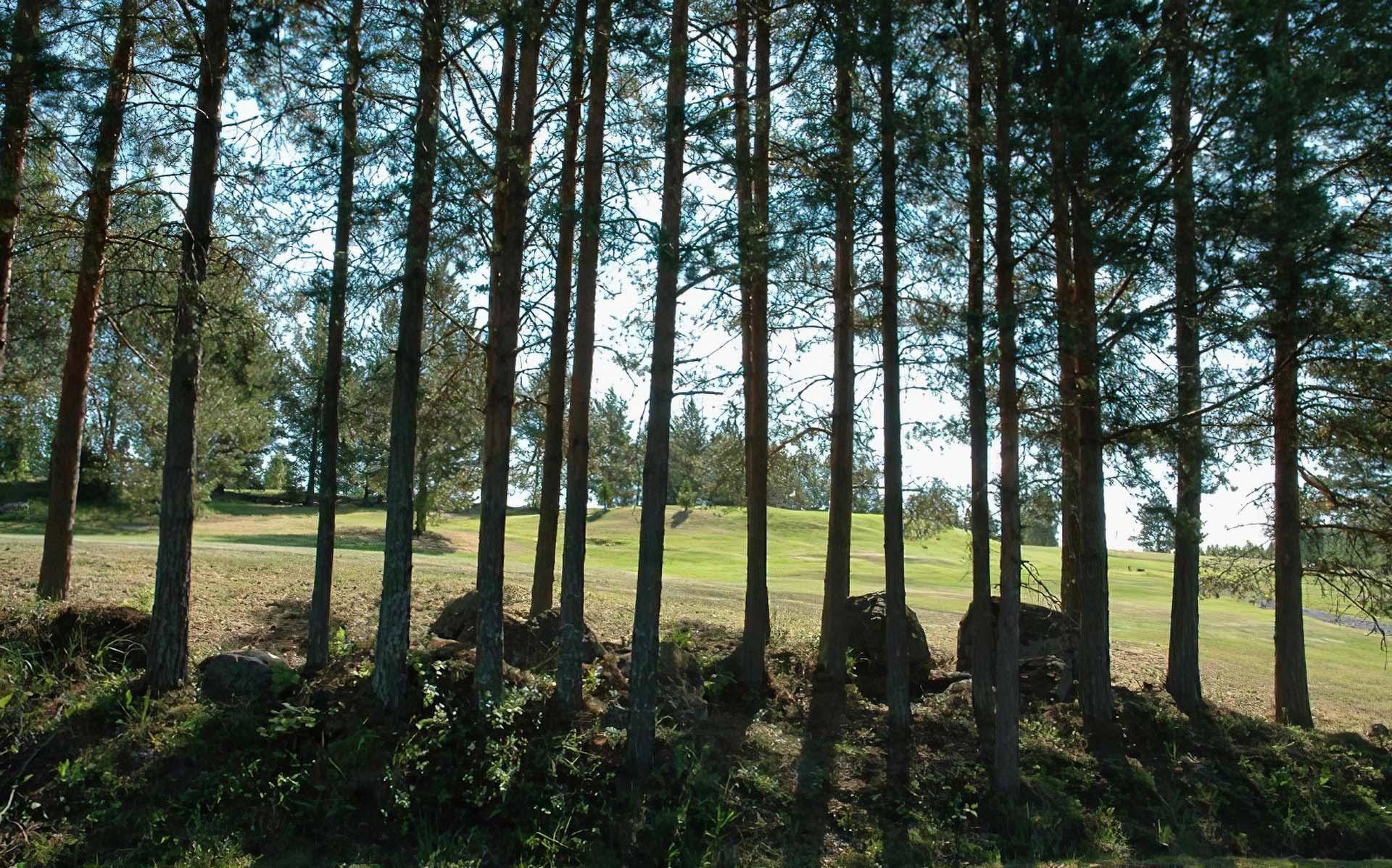 Leppävirran Golfseura 3. kuva – Golfpiste Kenttäopas – Suomi